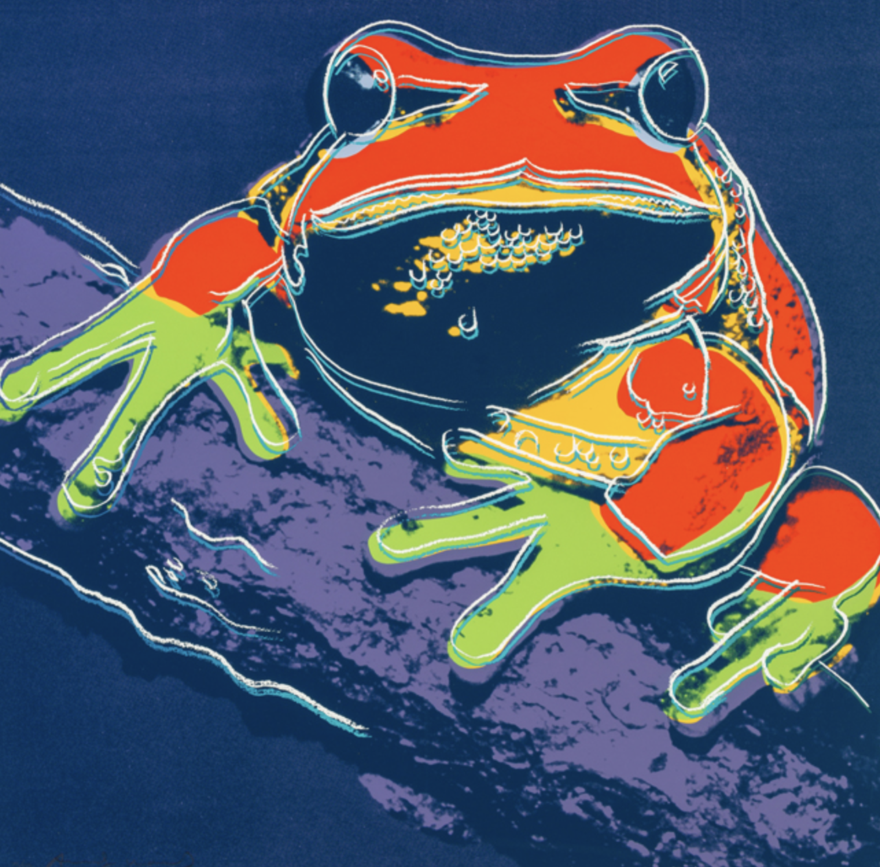 Andy Warhol's print of the Anderson tree frog, which looks very neon-y and, honestly, kind of tacky sorry