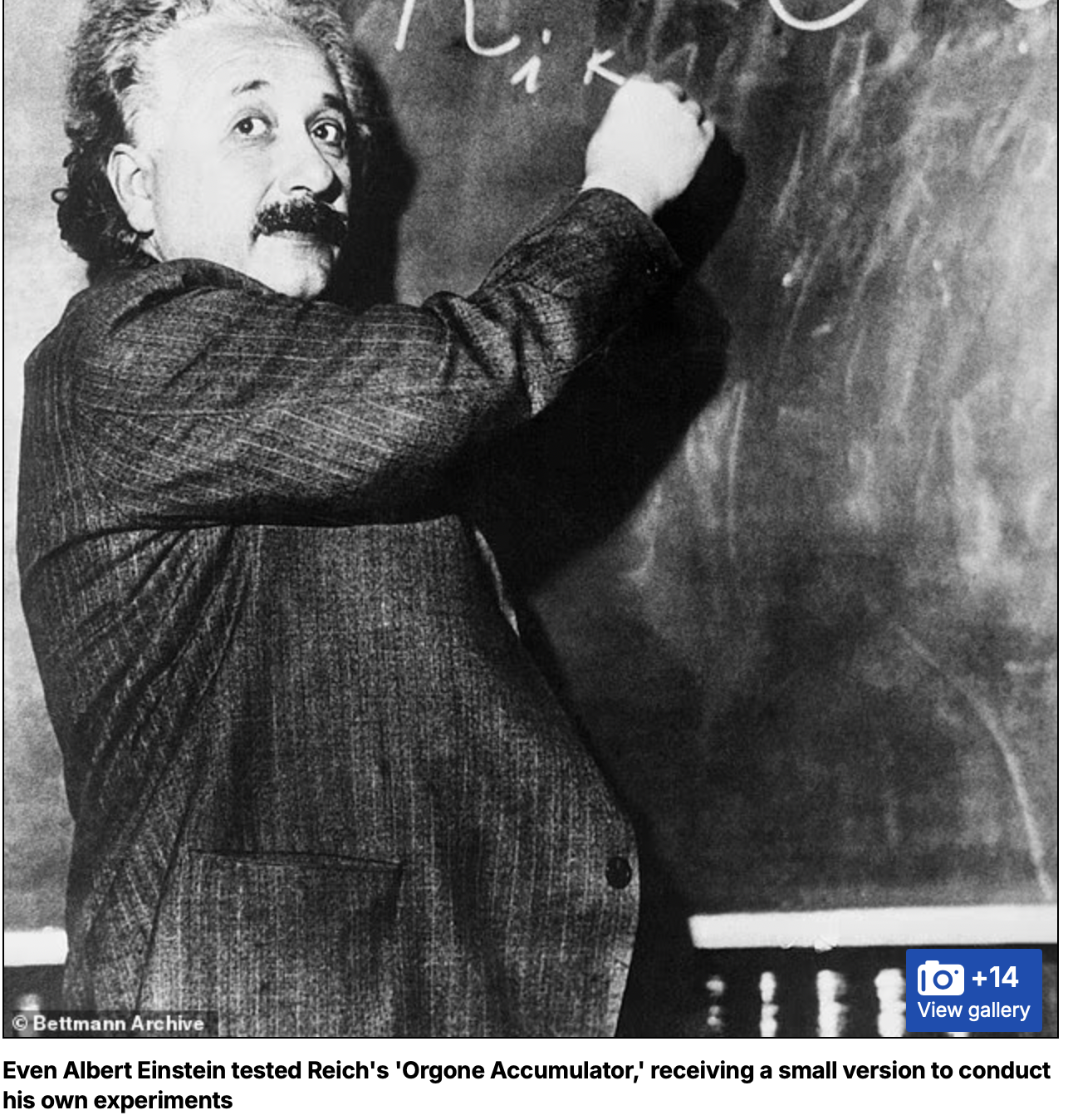 A screenshot from the Daily Mail's Bernie orgasm article, showing Albert Einstein writing on a chalkboard, with the caption "Even Albert Einstein tested Reich's 'Orgone Accumulator,' receiving a small version to conduct his own experiments
